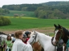 St.-Georgen-Ritt und Tag der offenen Tür, Pferdepartner Franken, 2012