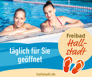 Stadt Hallstadt