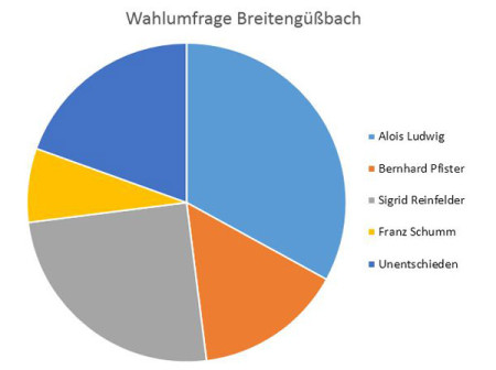 Wahlumfrage Breitengüßbach 2013 Tortengrafik