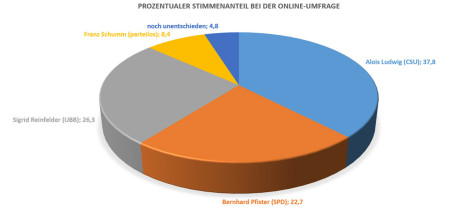 Online-Umfrage Breitengüßbach 2013 Kreisgrafik