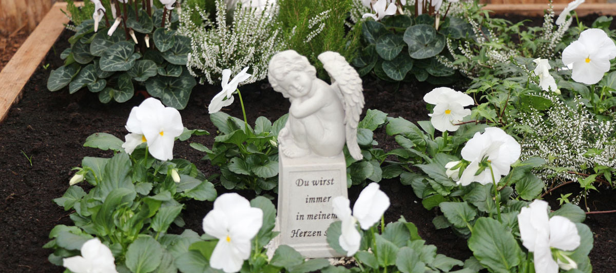 Blumenpracht auf dem Friedhof zu Allerheiligen – Nachrichten am Ort