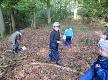 Waldprojekt Kindergarten Baunach 2014