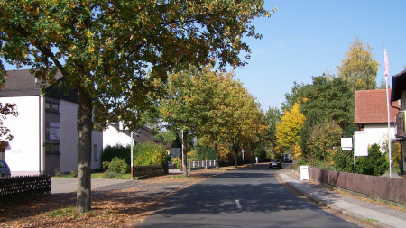 Bäume Laufer Straße Zapfendorf